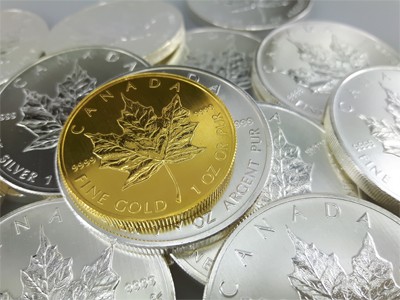 Gold and Silver Maple Leaf coin