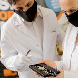 Alan and Maria handling dental scrap