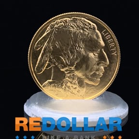 The Gold Buffalo obverse pictures a Native American profile.