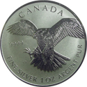 Canadian Peregrine Falcon Silver Coin