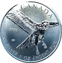 Red tailed hawk silver coin Canada