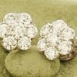Diamond Jewelry made from Van Cleef & Arpels