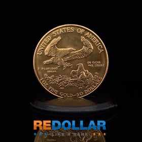 On the reverse of an American Gold Eagle coin, a bald eagle and an eagle’s nest are pictured.