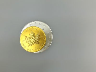 stock image: size comparison of a gold and silver bullion coin