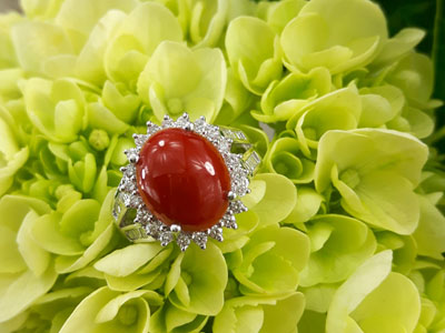 stock image: 14k white gold, red coral and diamond ring