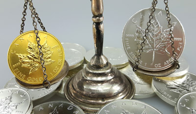 weighing and comparing Maple Leaf coins made of gold and silver