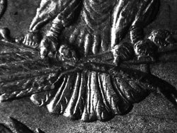 Morgan Dollar Close-Up "Eagle's Claws"