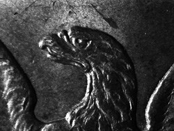 Morgan Dollar Close-Up "Eagle's Head"