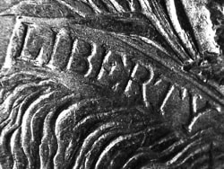Morgan Dollar Close-Up "Liberty"