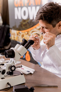 redollar expert checking gemstone with loupe